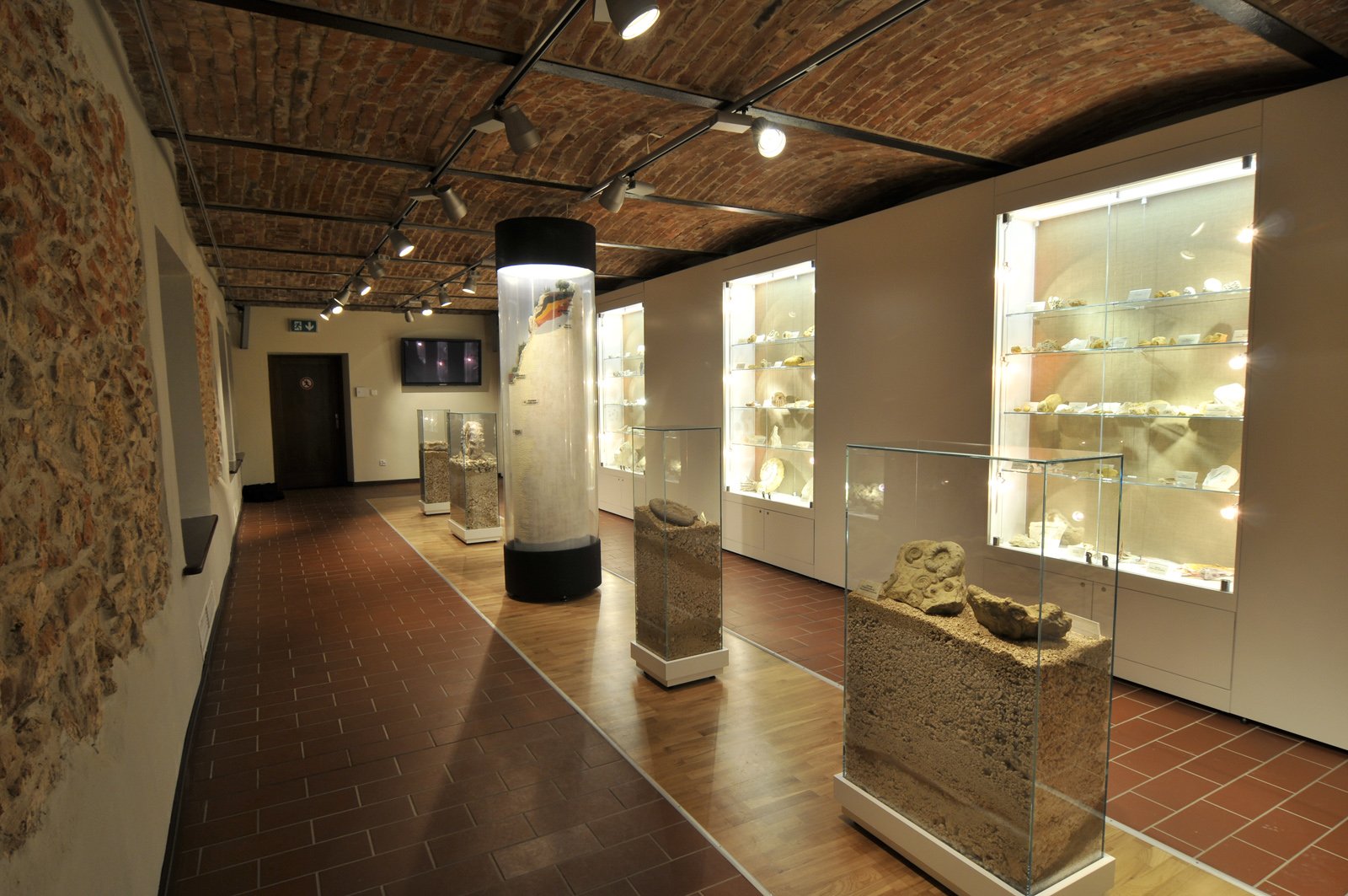 Geology hall with a geological cross-section column and fossil cases in the Ojców National Park nature exhibition