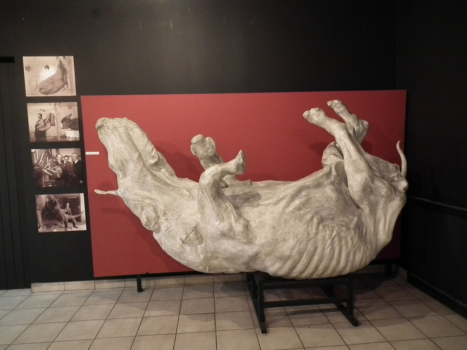 Muzeum Przyrodnicze Instytutu Systematyki i Ewolucji Zwierząt PAN